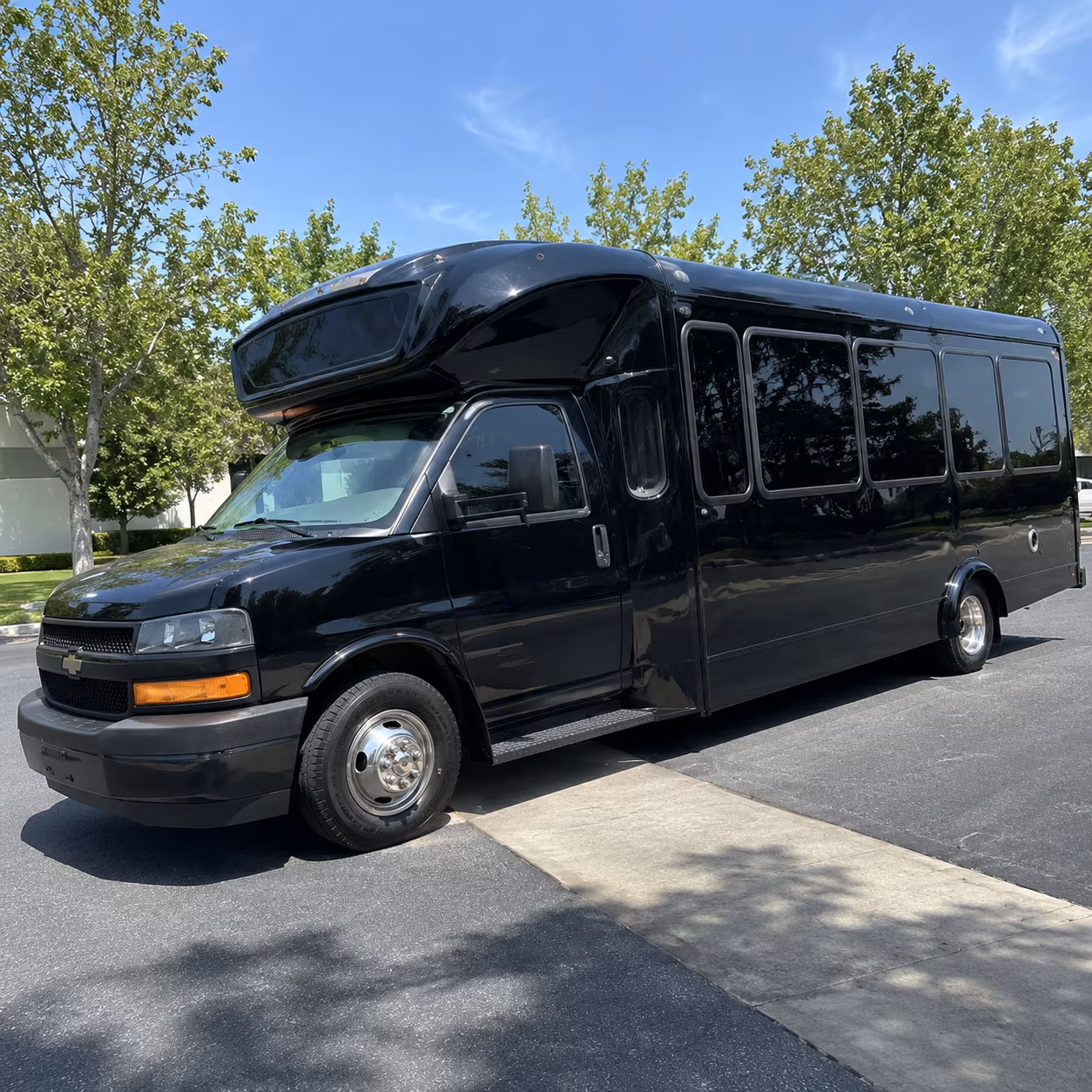 brick 15 passenger party bus